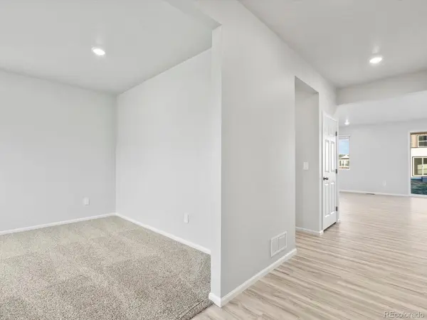 1691 Yampa River DR, Windsor, CO 80550