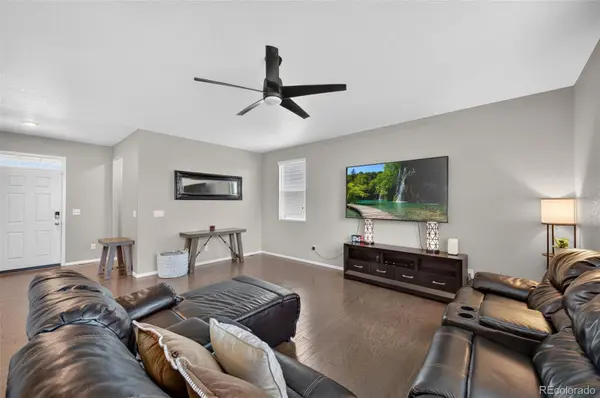 914 Charlton DR, Windsor, CO 80550