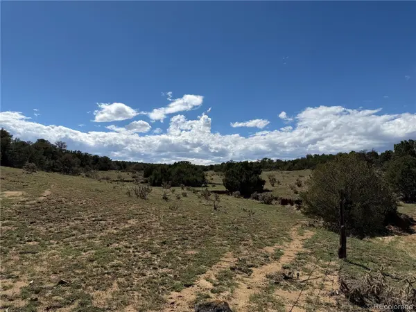 Lots 81a & 101 Twin Lakes Ranch, Walsenburg, CO 81089