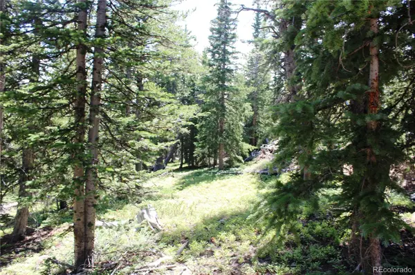 00 FS 412.1J, Black Hawk, CO 80422
