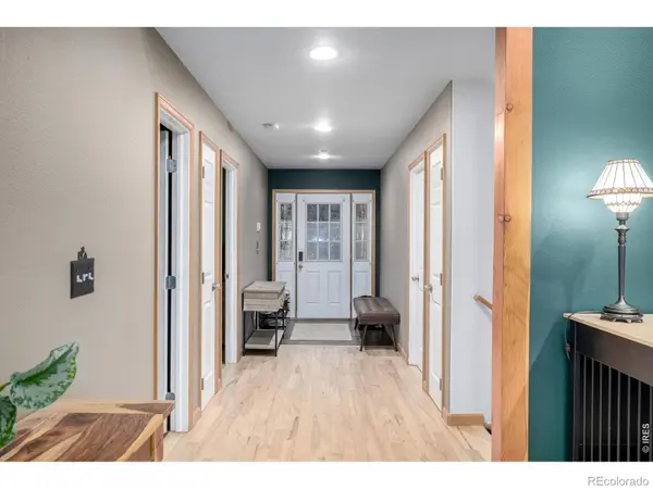 317 Ridge RD, Ward, CO 80481