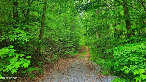 50 S Highway 340, Parrottsville, TN 37843