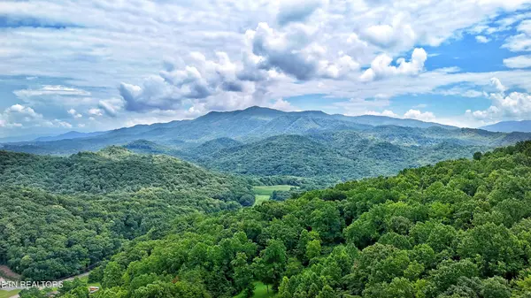 50 S Highway 340, Parrottsville, TN 37843