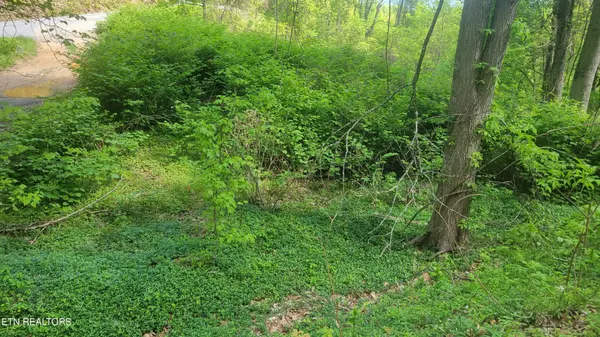 0 Arbon Drive, Gatlinburg, TN 37738
