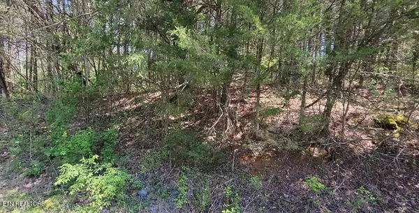 110 West Drive, Parrottsville, TN 37843