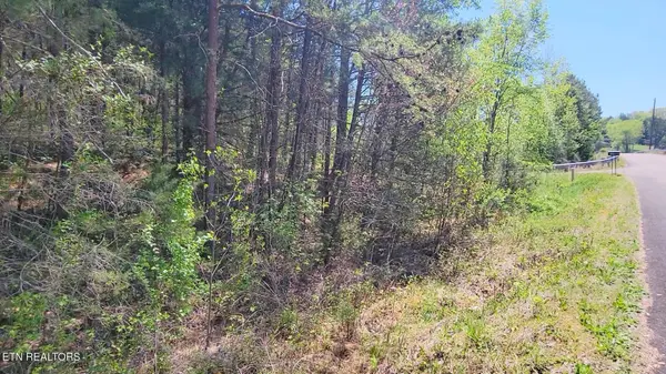 110 West Drive, Parrottsville, TN 37843