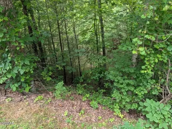 0 SKI MTN RD, Gatlinburg, TN 37738