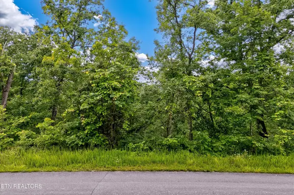 0 Tranquility Tr, Dandridge, TN 37725