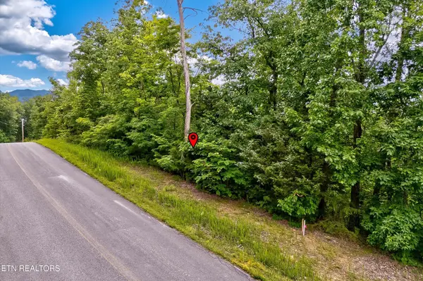 0 Tranquility Tr, Dandridge, TN 37725