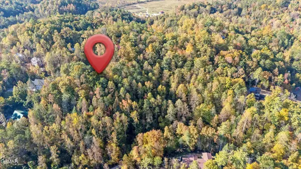 31 Sulpher Springs Way, Sevierville, TN 37862