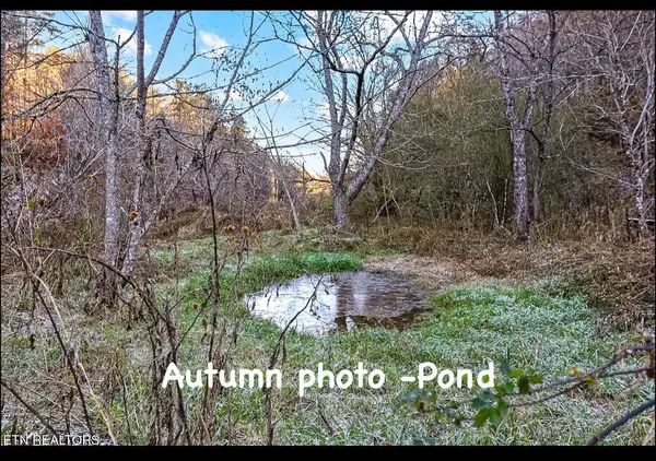 0 Caney Creek Rd, Pigeon Forge, TN 37863