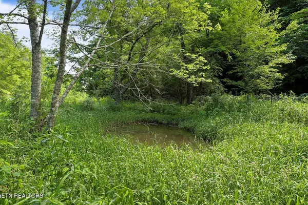 0 Caney Creek Rd, Pigeon Forge, TN 37863