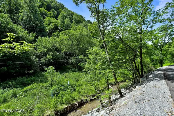 0 Caney Creek Rd, Pigeon Forge, TN 37863