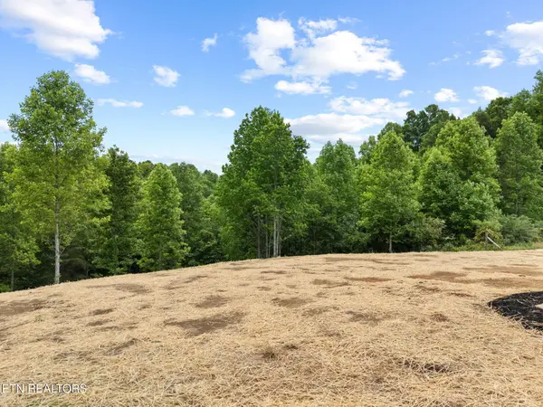 117 Delia Young Lane, Wartburg, TN 37887