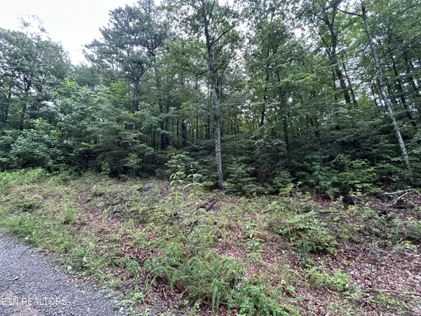 0 Black Oak Drive, Sevierville, TN 37876