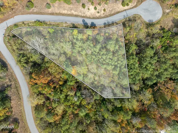 57 Fork Horn Trail, Dandridge, TN 37725