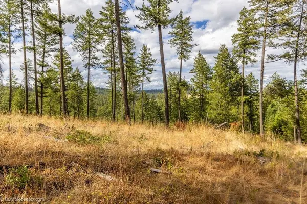 0 N Vista Cir #Lot 8, Colbert, WA 99005