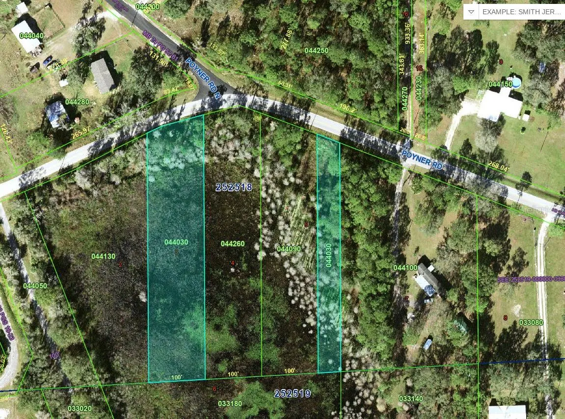 POYNER RD, Polk City, FL 33868