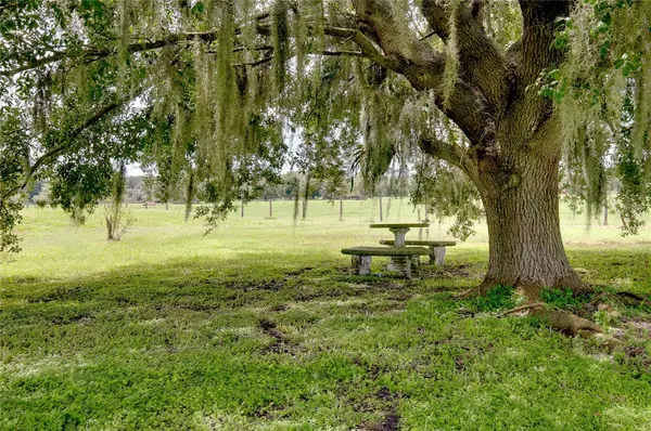 8235 STATE ROAD 64 W, Ona, FL 33865