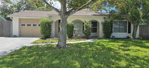 6954 STONE RD, Port Richey, FL 34668