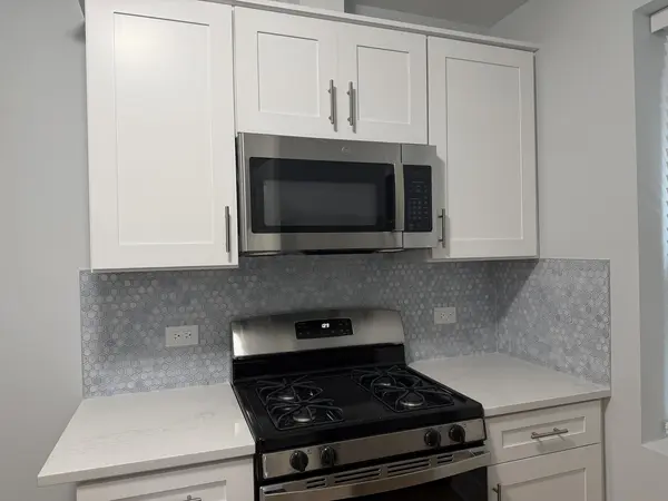 1014 S HUMPHREY AVE S #1N, Oak Park, IL 60304