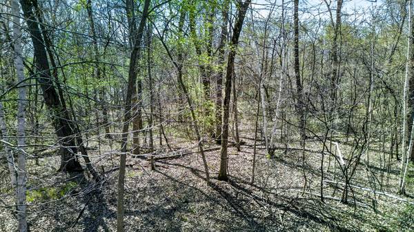 Parcel 3 Grand AVE, Harris, MN 55032