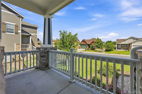 293 Calhoun CIR, Castle Rock, CO 80104