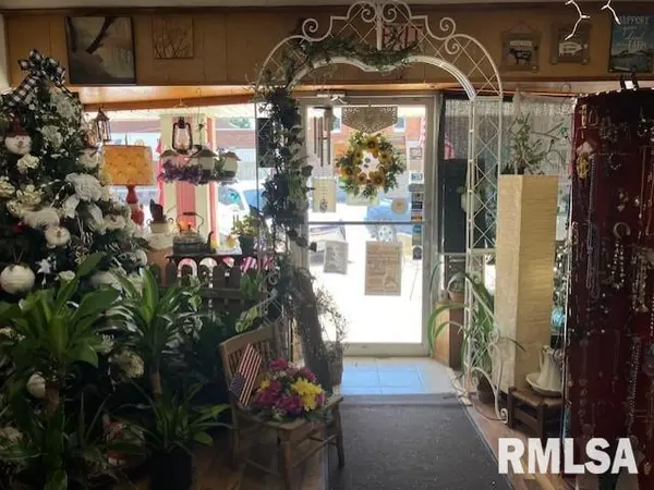 115 & 117 S BROADWAY ST, Stronghurst, IL 61480