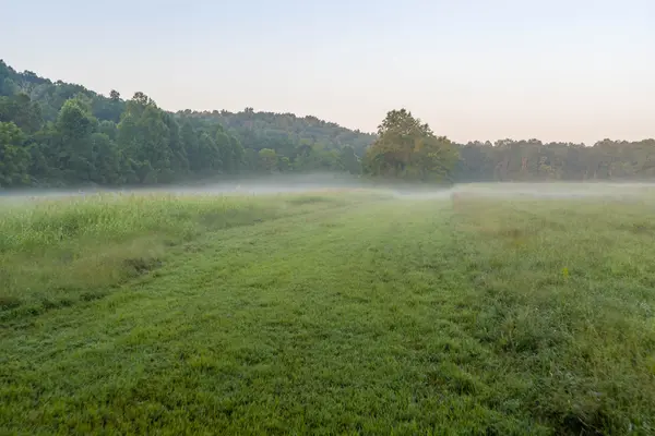 0 Old Mill Creek Rd, Nunnelly, TN 37137
