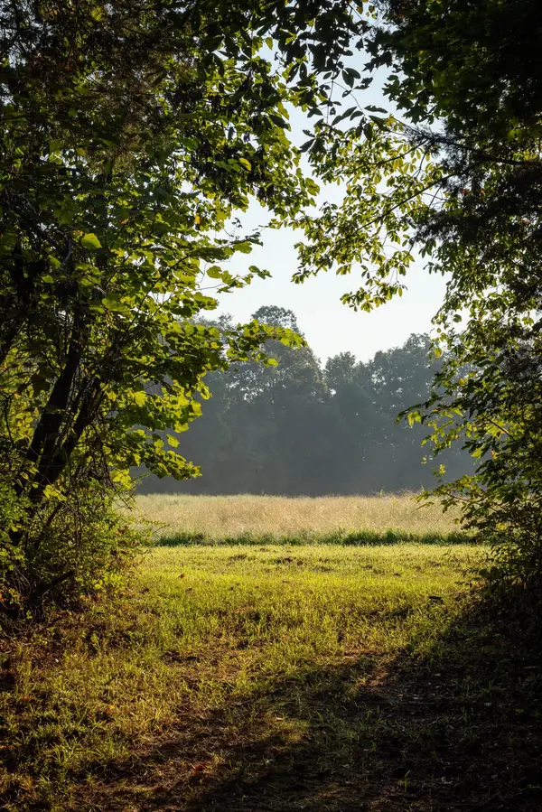 0 Old Mill Creek Rd, Nunnelly, TN 37137