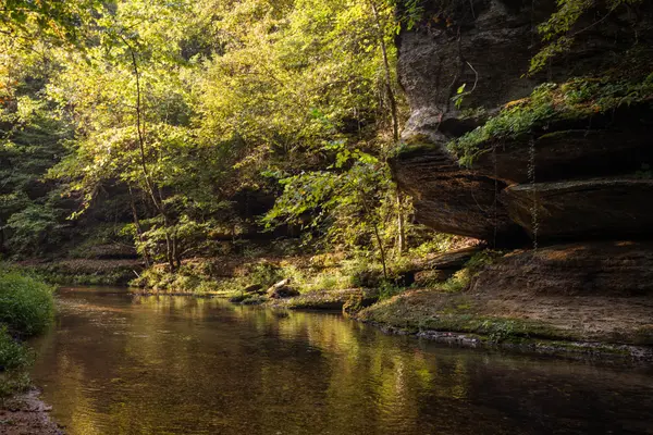 0 Old Mill Creek Rd, Nunnelly, TN 37137