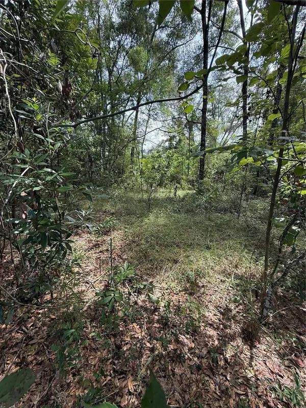 LAKE AVE, Fanning Springs, FL 32693
