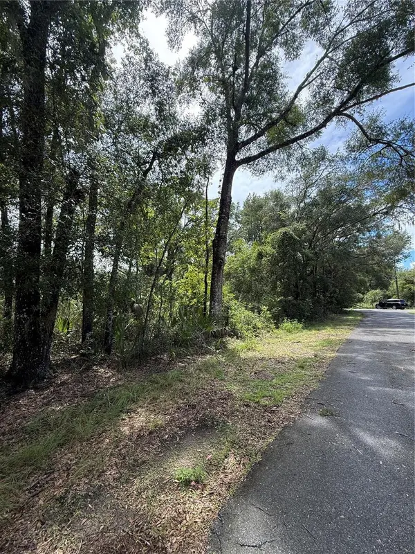 LAKE AVE, Fanning Springs, FL 32693