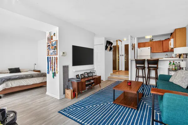 230 E Ontario ST #1304, Chicago, IL 60611