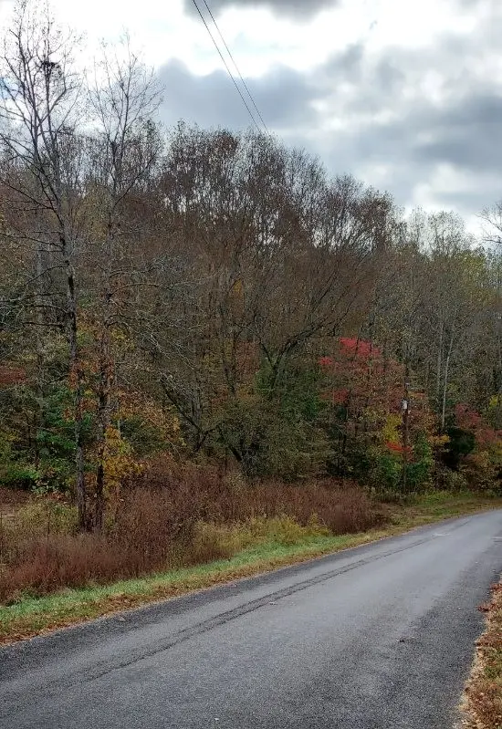0 Carpenter Rd, Dellrose, TN 38453