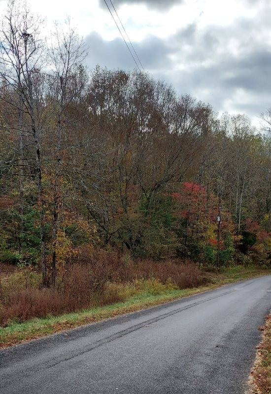 0 Carpenter Rd, Dellrose, TN 38453