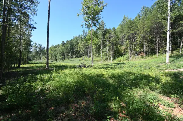 1826 Swindle Creek Rd, Linden, TN 37096