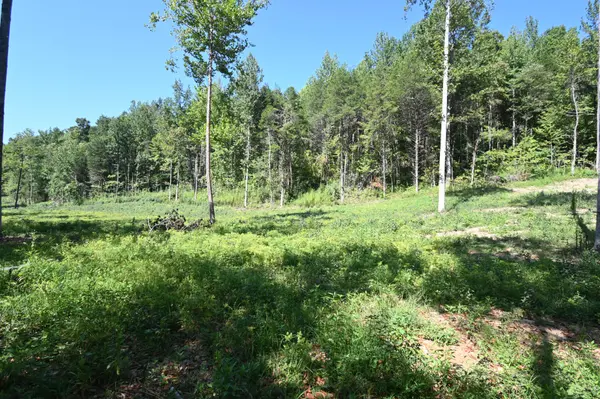 1826 Swindle Creek Rd, Linden, TN 37096