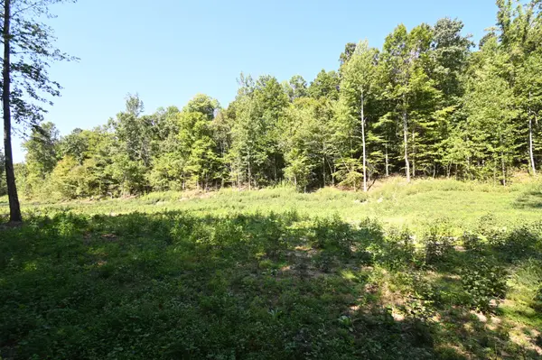 1928 Swindle Creek Rd, Linden, TN 37096