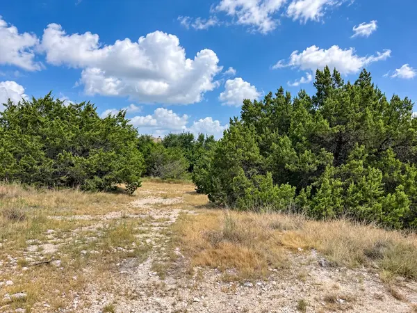 10011 JANET LOOP, Dripping Springs, TX 78620