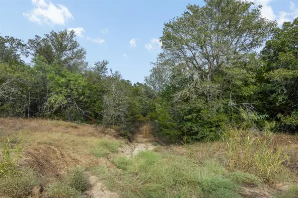 Tract 2 FM 713, Dale, TX 78616