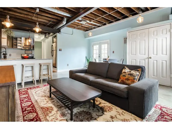 2910 N Columbine, Denver, CO 80205