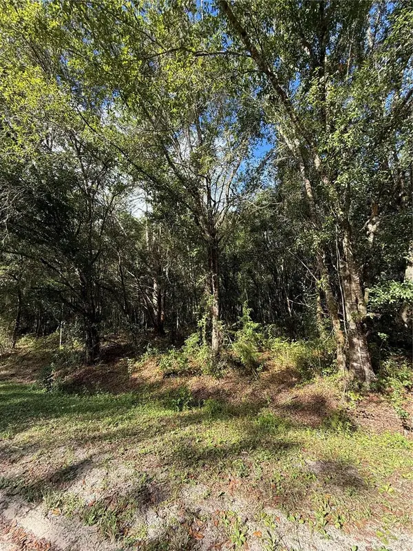 1166 HONEYTREE ST, Bunnell, FL 32110