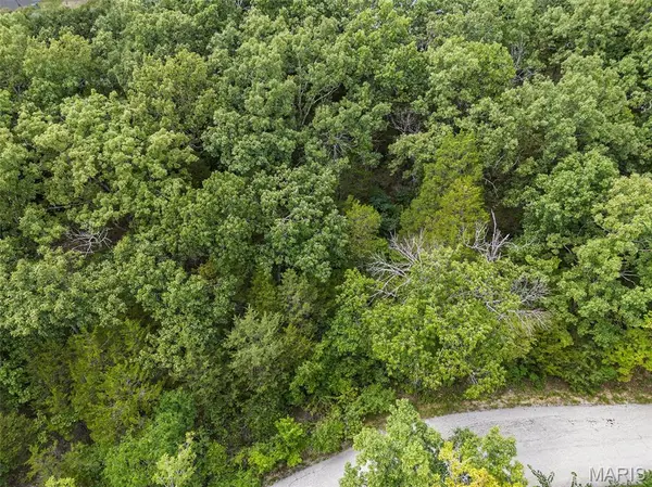 1 Rhett Butler DR, Hillsboro, MO 63050