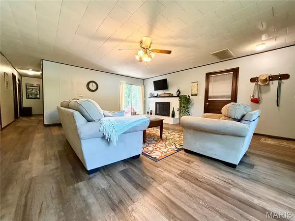 520 S Skyview DR, Ellington, MO 63638