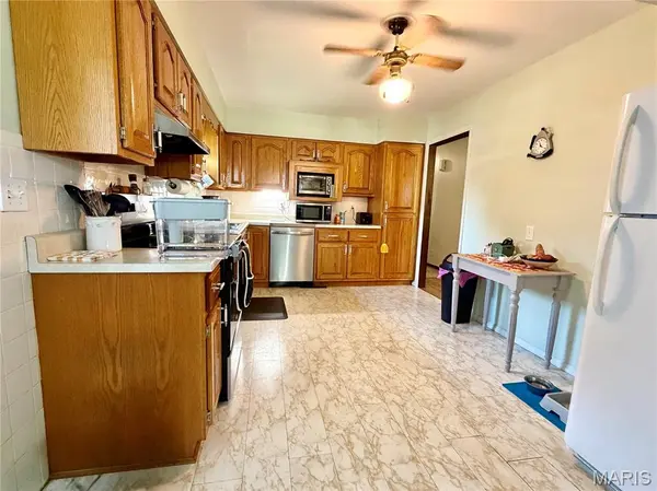 520 S Skyview DR, Ellington, MO 63638