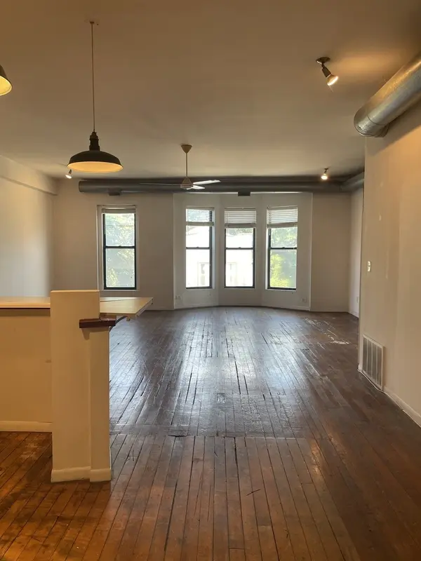 1908 S Halsted ST #2F, Chicago, IL 60608