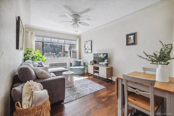 1130 N Pennsylvania ST #307, Denver, CO 80203