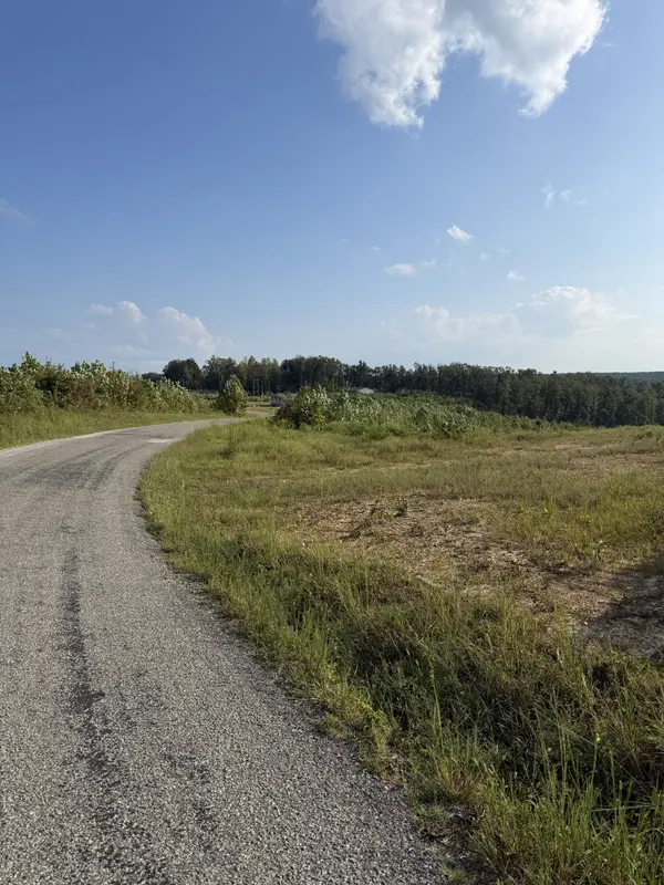 1 Springer Rd, Hohenwald, TN 38462