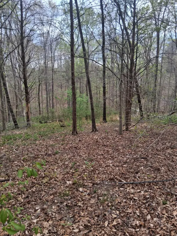 0 W GARRETS CREEK RD, Westmoreland, TN 37186